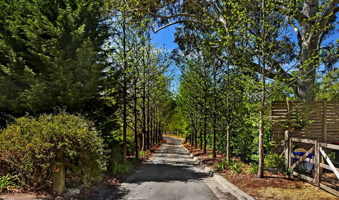 Bundanoon Lodge - Accommodation 4U 21