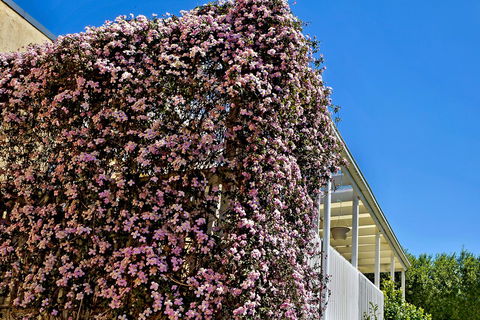 Bundanoon Lodge - Accommodation 4U 13