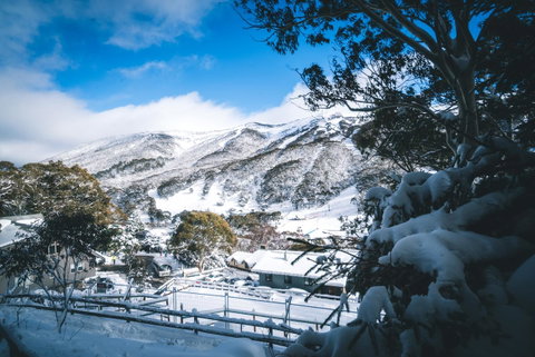 Pure Chalet Thredbo - Accommodation 4U 31