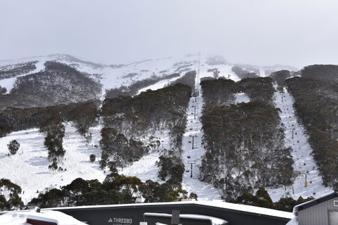 Pure Chalet Thredbo - Accommodation 4U 6