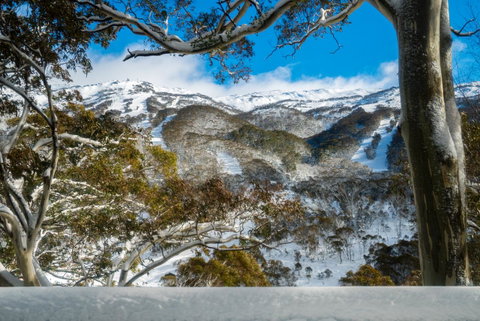 Pure Chalet Thredbo - Accommodation 4U 17