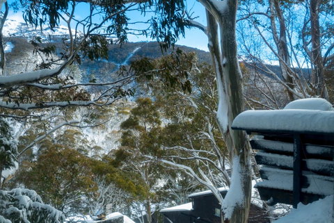 Pure Chalet Thredbo - Accommodation 4U 30