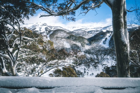 Pure Chalet Thredbo - Accommodation 4U 2