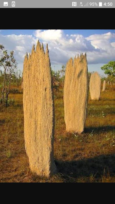 'Tropical Oasis - Darwin NT - Accommodation 4U 33