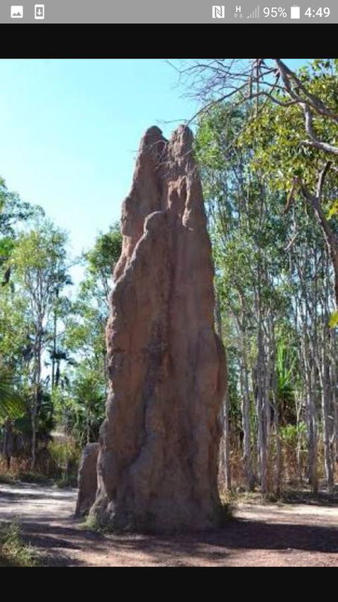 'Tropical Oasis - Darwin NT - Accommodation 4U 31