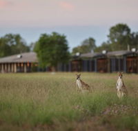 Wildman Wilderness Lodge - Accommodation 4U