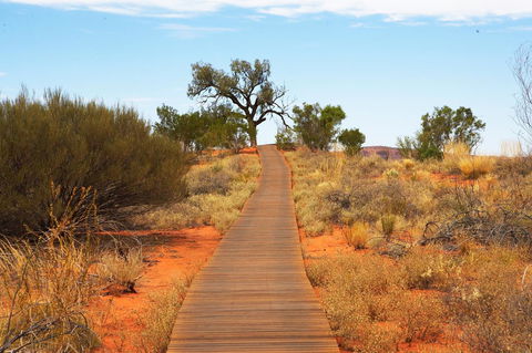 Discovery Resorts - Kings Canyon - Accommodation 4U 27