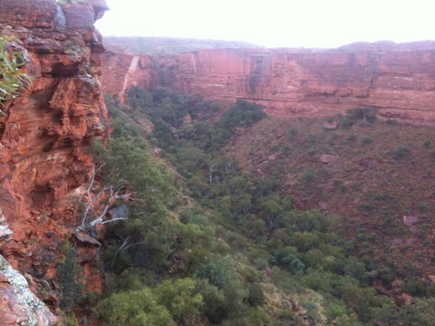 Discovery Resorts - Kings Canyon - Accommodation 4U 34