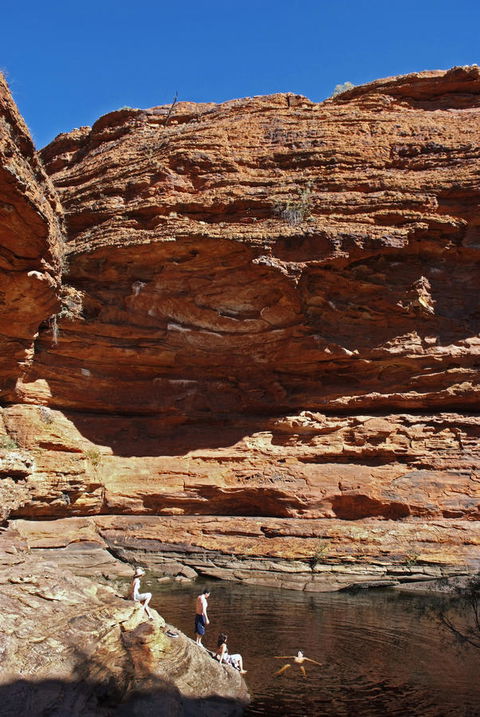 Discovery Resorts - Kings Canyon - Accommodation 4U 44