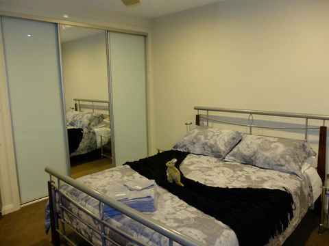 Rock Wallaby - Accommodation 4U 14