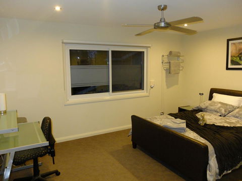 Rock Wallaby - Accommodation 4U 6