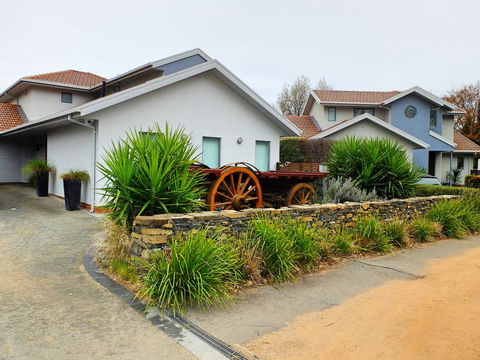Rock Wallaby - Accommodation 4U 5