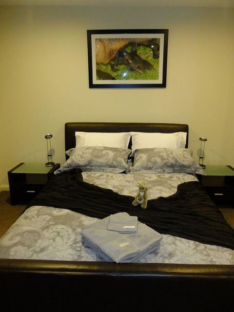 Rock Wallaby - Accommodation 4U 18
