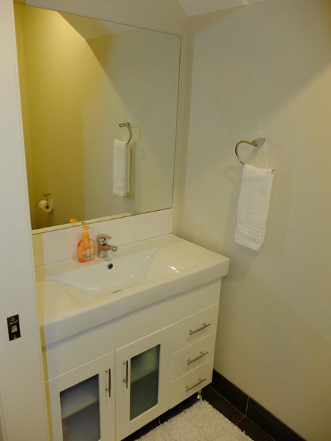 Rock Wallaby - Accommodation 4U 15