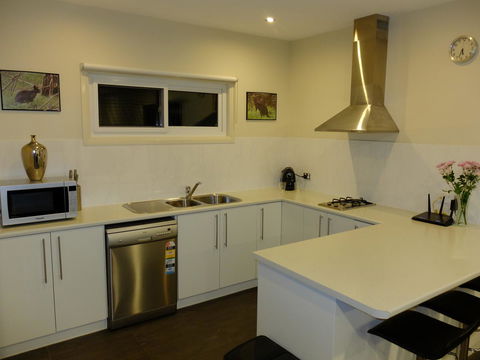 Rock Wallaby - Accommodation 4U 12