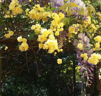 Bowral Road Bed and Breakfast - Accommodation 4U