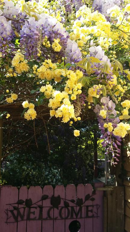 Bowral Road Bed And Breakfast - Accommodation 4U 0
