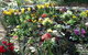 Bowral Road Bed And Breakfast - thumb 1