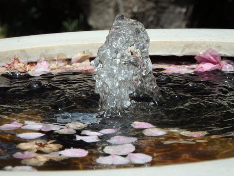 Bowral Road Bed And Breakfast - Accommodation 4U 2