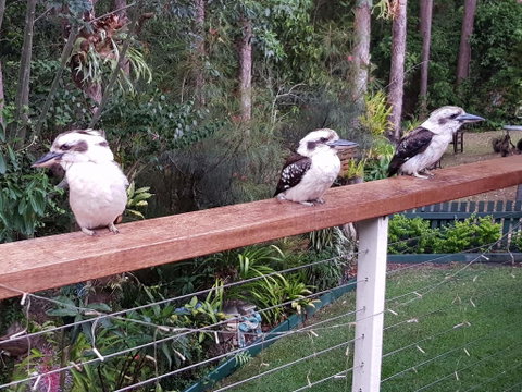 Buderim Forest Hideaway - Accommodation 4U 1