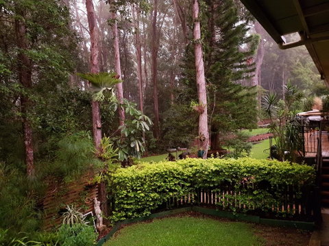 Buderim Forest Hideaway - Accommodation 4U 2