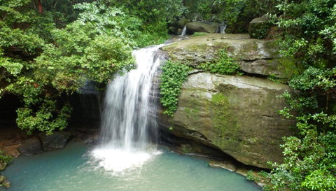 Buderim Forest Hideaway - Accommodation 4U 0