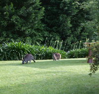 Bundanoon 2578 - Accommodation 4U