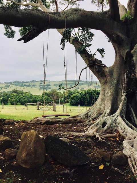 BYRON BAY New! SUNSET COTTAGE - Accommodation 4U 3