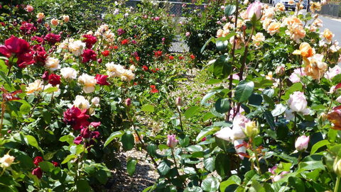 Cabernet Cottage - Accommodation 4U 3