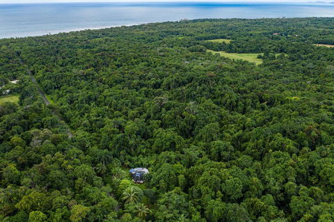 Cape Tribulation Holiday House - Accommodation 4U 1