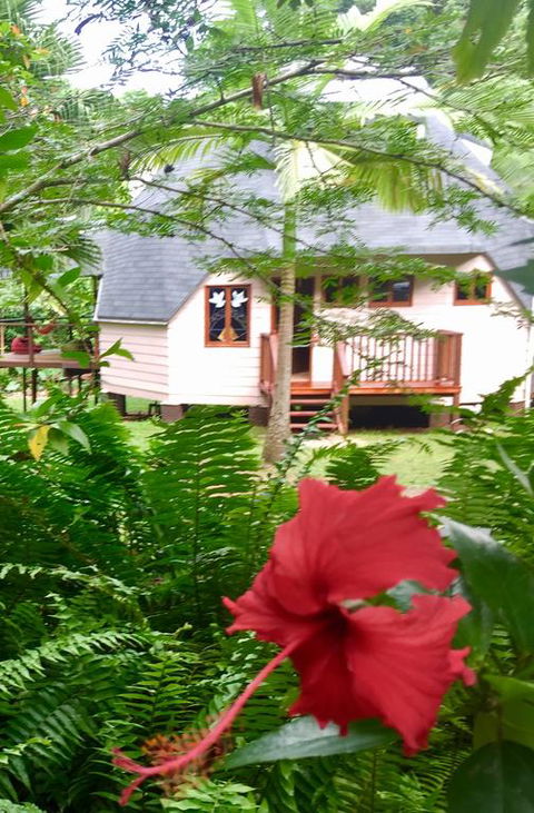 Cape Tribulation Holiday House - Accommodation 4U 3