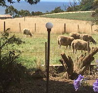 Cape View B and B - Accommodation 4U