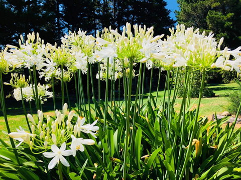 Carawah Ridge - Accommodation 4U 1