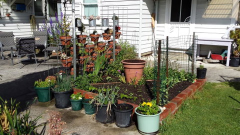 Carisbrook Cottage Queenscliff - Accommodation 4U 1