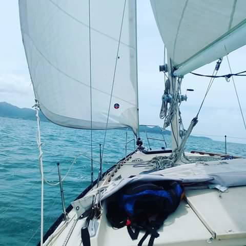 Casual Fare Sailing Charters Townsville - Ocean Living - Cruise - Accommodation 4U 3