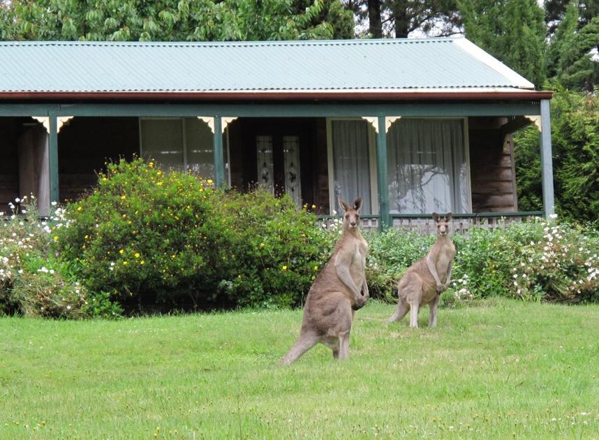 Mount Irvine NSW Accommodation 4U