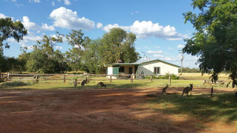 Charleville Bush Cottage - Accommodation 4U 1