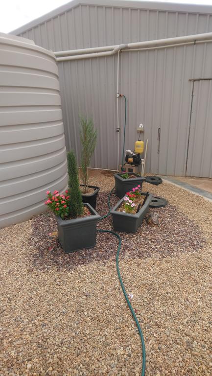 Chrissie's Dongara - Accommodation 4U 2