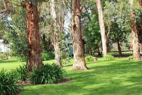 Clarendon Chalets - Accommodation 4U 1
