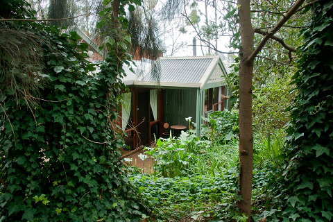 Clarendon Chalets - Accommodation 4U 0