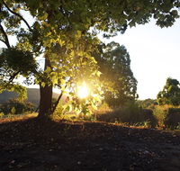 Clarendon Forest Retreat - Accommodation 4U