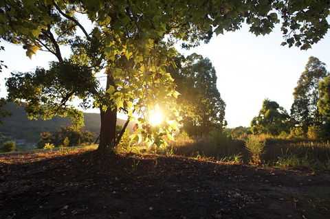 Clarendon Forest Retreat - Accommodation 4U 0