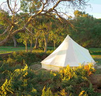 Coonawarra Bush Holiday Park - Accommodation 4U