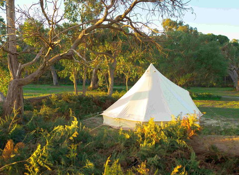 Coonawarra Bush Holiday Park - Accommodation 4U 0