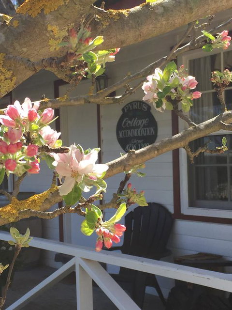 Coonawarra's Pyrus Cottage - Accommodation 4U 3