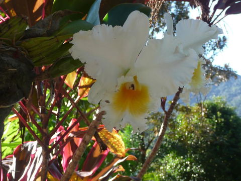Coral Sea Views - Accommodation 4U 2