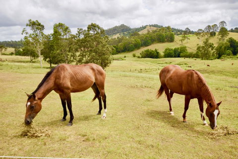 Country Breeze Farm Stay - Accommodation 4U 1