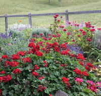 Country Mile Escape - Accommodation 4U