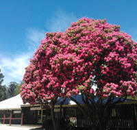 Crossways Country Inn - Accommodation 4U