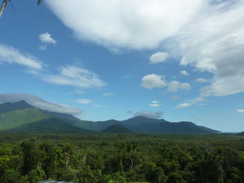 Daintree Holiday Homes - La Vista - Accommodation 4U 3